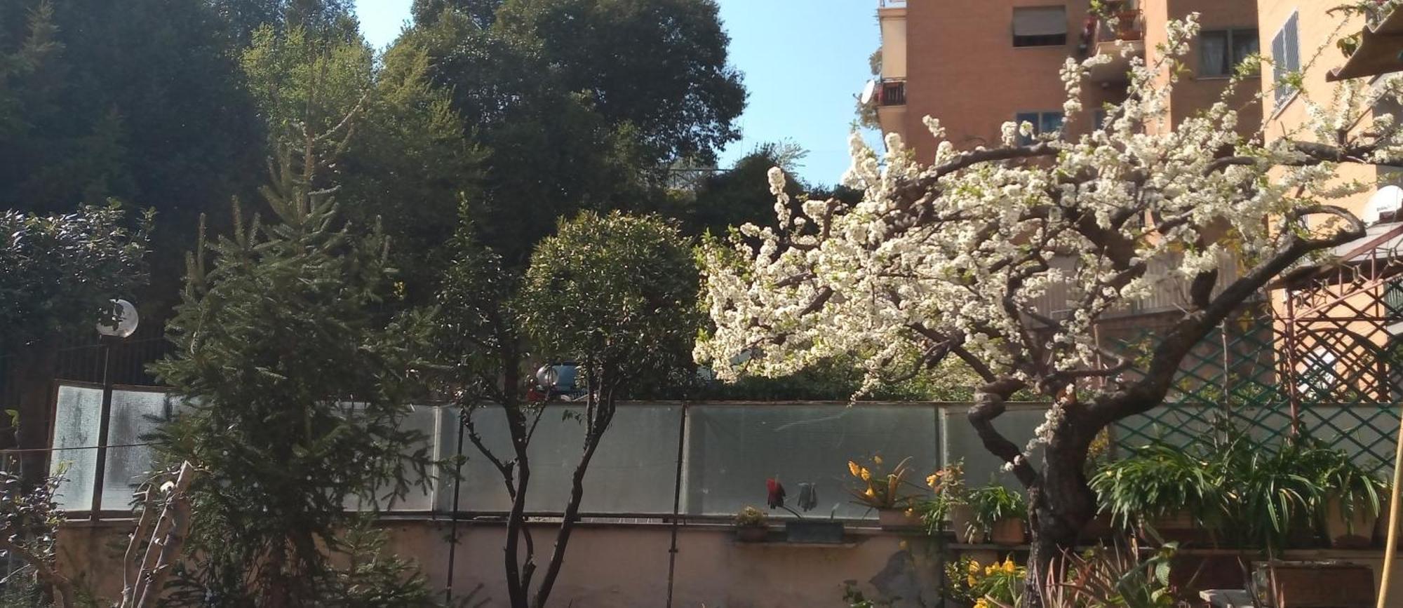 Il Giardino Dell'eden 10 - Turistico Di Barbara C Rom