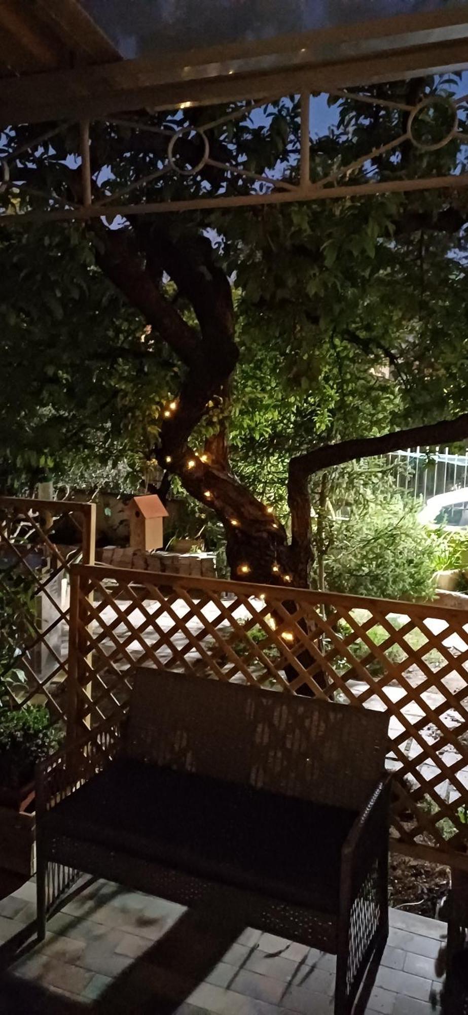 Il Giardino Dell'eden 10 - Turistico Di Barbara C * Rom